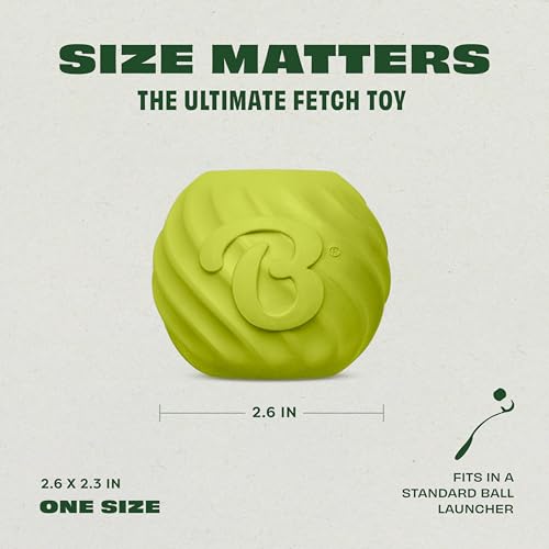 Image of Benebone Rubber Ball, 4-Pack
