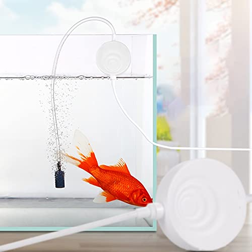 Mini Pompe à Air USB Pour Aquarium - Silencieuse, Portable, Parfaite Pour Petits Aquariums Et Bassins