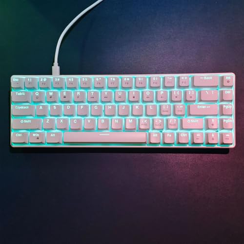 Teclado Gamer 60% Bewinnero7ma5uw2sd Con Cable miniatura 6
