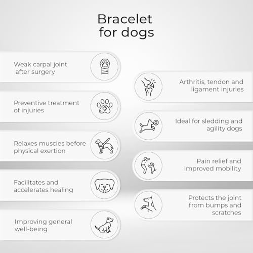 Ortocanis - Karpalgelenk-Bandage für Hund - Arthrose, Bänder- und Sehnenverletzungen oder Agility-Hunde - Hergestellt aus Neopren ARD - Größe L 17-19 cm
