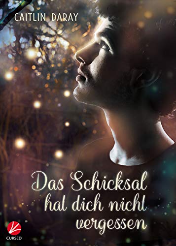 Das Schicksal hat dich nicht vergessen (German