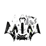 Applicazi: Spoiler per carenatura moto per R6 2006 2007
