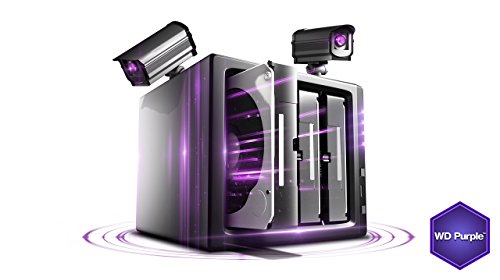 Wd Purple 1Tb Surveillance Hard Disk Drive - 5400 Rpm Class Sata 6 Gb/S 64Mb Cache 3.5 Inch - Wd10Purx [Old Version] (Renewed) #TOP4