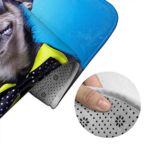 DIRYKILP Badematte + Konturmatte + Toilettendeckelbezug, Schöne Chihuahua Hund 3 Stück Badematten Set, mit rutschfester Klebeunterseite – Bild 6