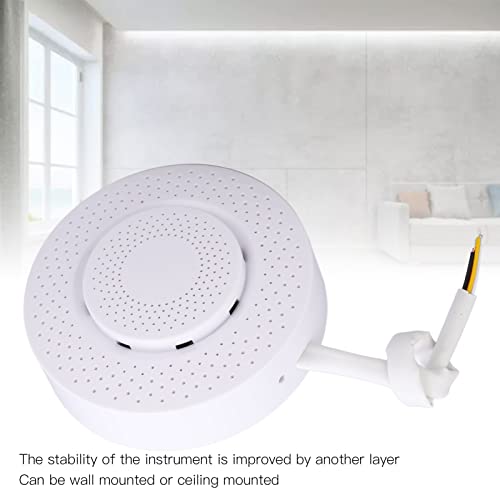 Milieutester, nauwkeurige luchtkwaliteitsmonitor RS485-uitgangscircuitbescherming Stabiel in realtime voor luchthaven - Image 4