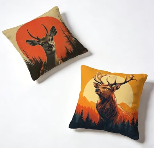 �N�b�V�����J�o�[ 45x45 cm 2���Z�b�g �� ���z�c�J�o�[ 45 x 45 ���O �h�� �\�t�@�[�N�b�V���� �� ���� �ϖ� ���� ���� ���J�o�[ HD���ʈ�� �B���t�@�X�i�[�t�� Cushion Covers, �t�ƉĂ̗����ɓK���Ă��܂� �Ⴄ�� 