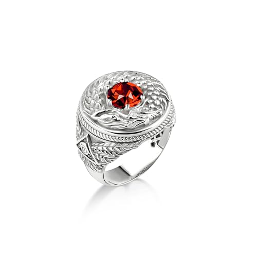 Anillo Redondo De Plata De Rubí Rojo Para Hombres Con Ojo De Providencia, Anillo De Hombres De Piedras Preciosas De Rubí Con Ouroboros De Serpiente Plateada, Anillo De Hombres Masones En Plata