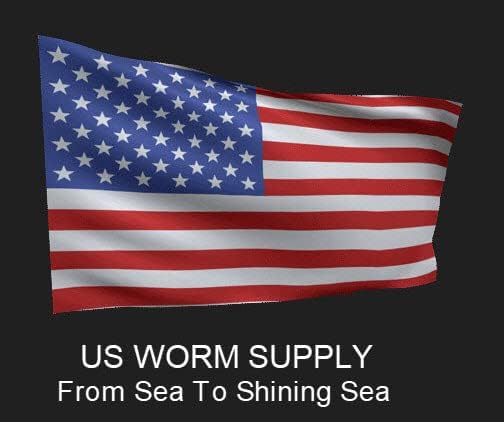 Generic Big Canadian Nightcrawlers for Fishing by US Worm Supply Live delivery Guaranteed by Worlds Largest Supplier of Live Bait., neutral