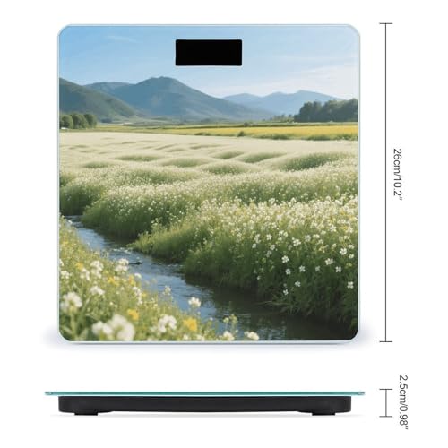 Báscula Digital de Baño VstaDank con Pantalla LCD y Vidrio Templado miniatura 2
