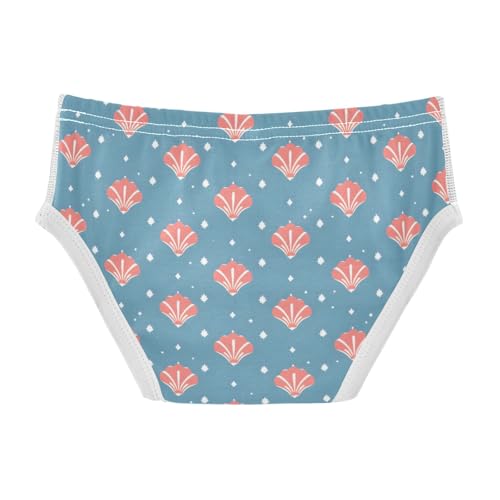 Boys' Exclusive Briefs Toddler Underwear 95% Combed Cotton Boxerbriefs 2T Shells Stars Pattern2