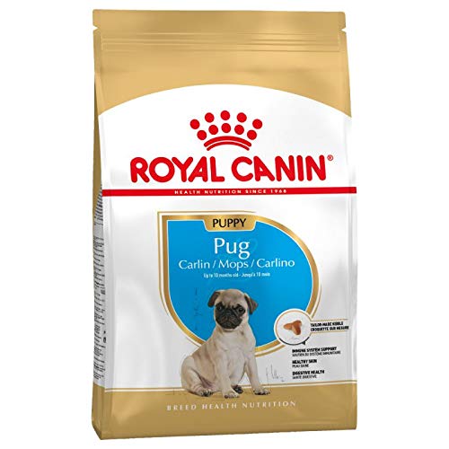 Canin Royal Pug Puppy Trockenfutter für Welpen, bis zu 10 Monate, 3 x 1,5 kg, speziell für trockene Haut und Fell, Gesundheit, Verdauung und Immunsystem, mit verdaulichen Proteinen