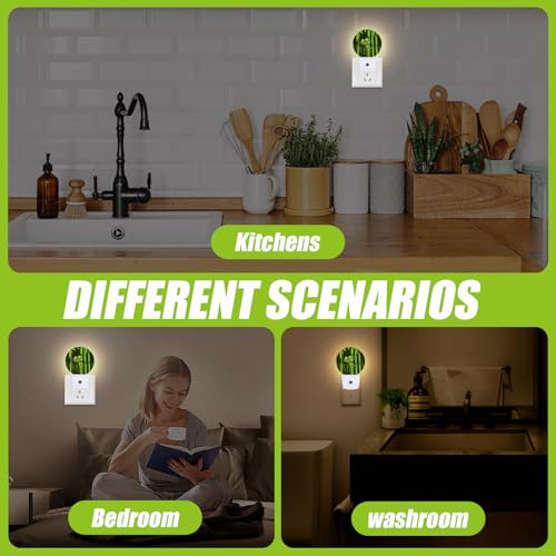 Image of Cute Frog Night Light,Green Forest Night Lights Plug into Wall for Kitchens Toilets Bedroom Decorative Half Round Nightlight Led Lamp 0.5W Sleep Friendly