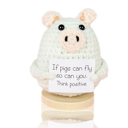 Handmade Mini Funny Positive Emotional Support Pickle, Cute Stuff Funny Knitted Wool Handwoven Ornaments Crochet Birthday Gifts Under 10 Dollars for Women Coworkers Friend Family