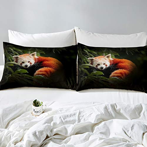 Raccoon Duvet Cover Red Panda Comforter Cover Tree Green Leaves Bedding Set For Kids Adults 3D Wild Animal Bedspread Cover Ultra Soft Room Decor Double Bedclothes Zipper - Image 2