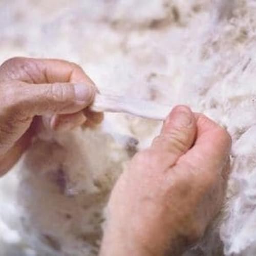 What is behind a drop in wool prices?