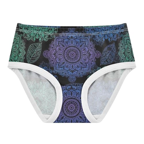 Print Toddler Underwear Floral 2t Cotton Panties for Girl Vintage Floral Blue Flowers Green Briefs Underpants