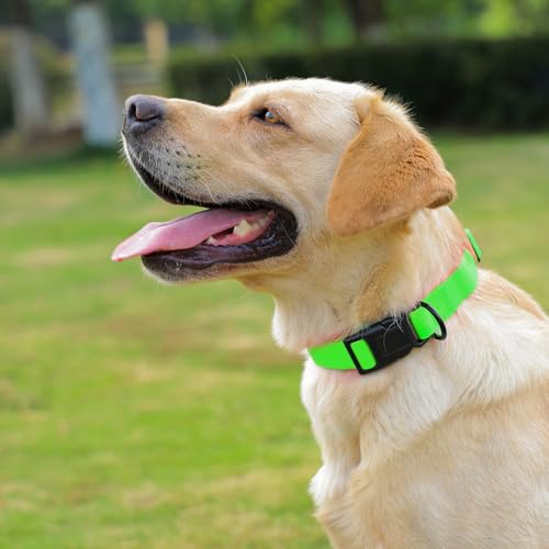 Image of Waterproof Dog Collar, Easy to Clean Rubber Dog Collars with Quick Release Buckle Fits Small Medium or Large Dogs (Green, M (11.8-18.5 inch))