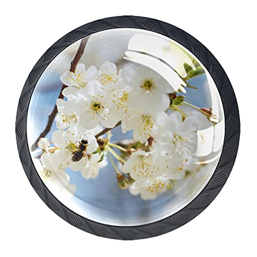 Poignées de tiroir en branche de fleurs blanches au design unique x4 - 3