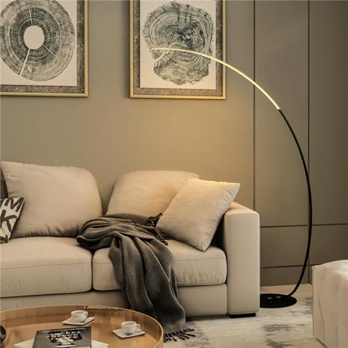 Lampadaire moderne pour salon ajustable résout le manque de lumière de lecture - 3