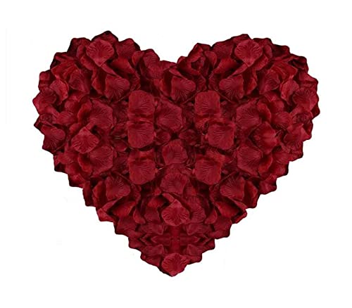 Morices Ԃт t[V[ 1000Zbg  KN  v|[Y   EGfBO Q a j oɃ[Y p[eB[ NX}X Be o p[eB[p(ÐԐF)