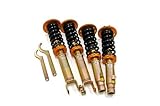 Yonaka Compatible with Honda Accord 2008-2012 Spec 2 Full Coilovers Suspension Shocks Springs Struts