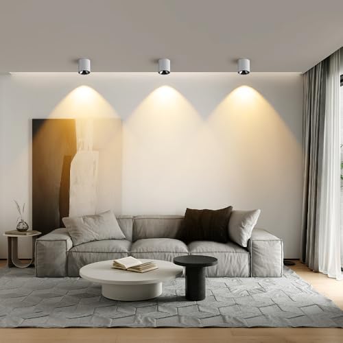 Image of 24W LED Dimmable White Ceiling Spot Light 4.92'' Aluminum CRI90 3000KCylinder Spotlight Indoor Modern Minimalist Focus White Ceiling Down Light Fixture for Living Room Hallway Foyer 6 Pack