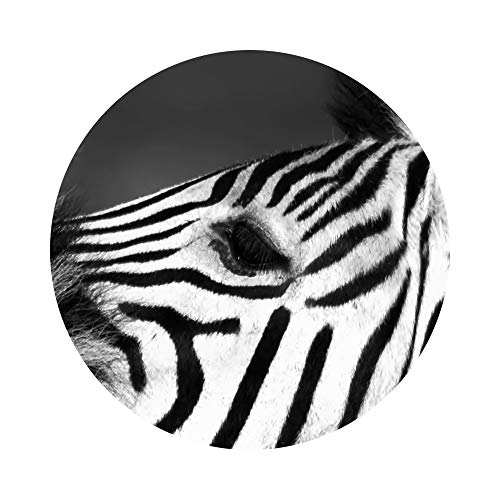 Yatsen Bridge Zebras Wall Art Painting 5 Piece Black And White Photo Close Up Of A Playful Group Of Zebras Prints On Canvas The Picture Landscape For Home Modern Decor Ready To Hang(60''W X 32''H) #TOP4