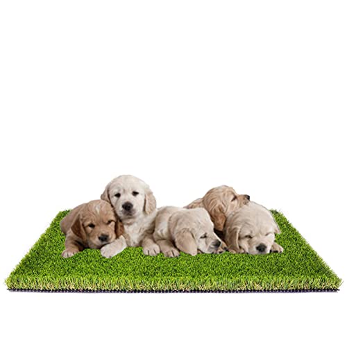 MTBRO Dog Grass Pee Pad, 40in X 28in Dog Pee Grass, Outdoor Dog Potty Grass, Professional Puppy Potty Training Grass and Replacement Grass