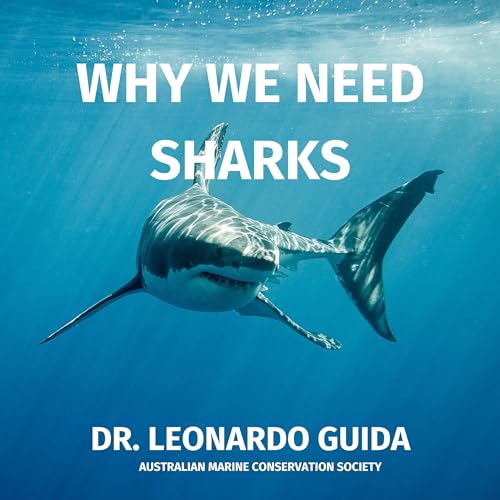 Sharks are the climate champions we need to protect. In conversation with Dr Leonardo Guida