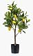 Kunst Zitronenbaum mit Früchten, 70 cm – Kunstbaum für Innenräume