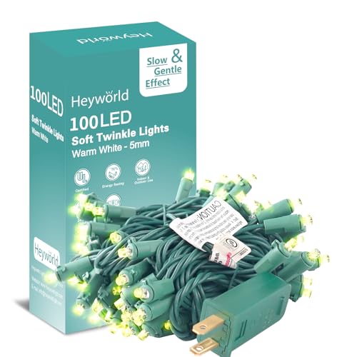 Heyworld Slow Twinkle Christmas Lights, 100 LED 27ft UL Certified