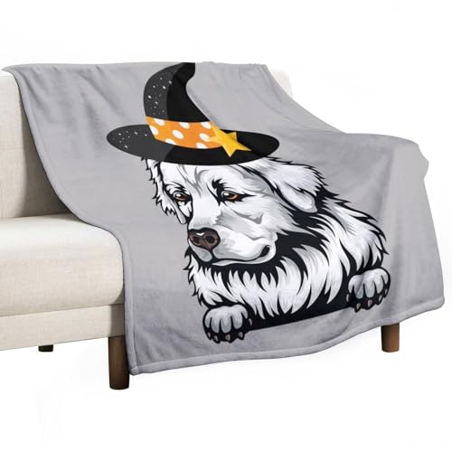Plaid Halloween pour chat et petit chien idéal pour le canapé