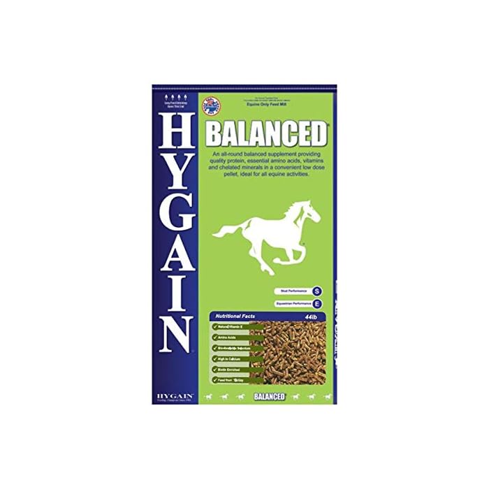 Buy Hygain Balanced Contains Quality Protein, Essential Amino acids
