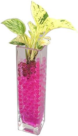 Amazon 観葉植物 ハイドロカルチャー 角 ロンググラス ゼリーボール ポトス ピンク 人工観葉植物 オンライン通販