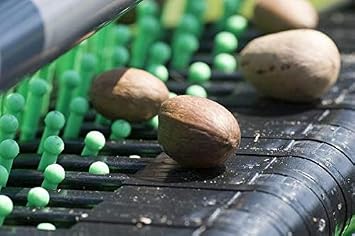 Bag-A-Nut 12 Push Large Acorn Harvester - Nut Picker Upper - (for Nuts 3/8 to 1 1/4) (A5010) - Weight Brackets Included