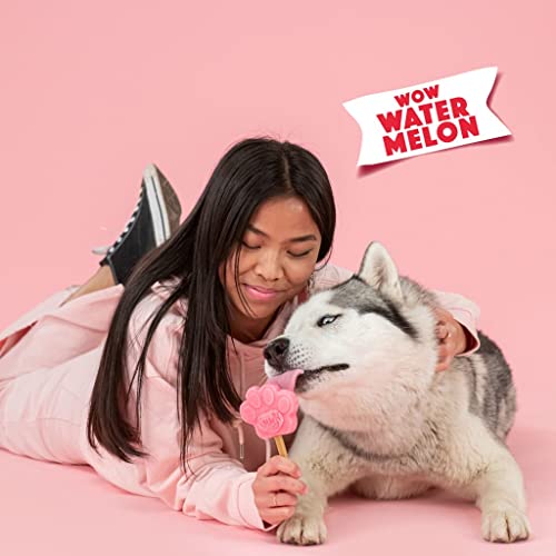 Smoofl Hundeeis, Premium Hundesnacks: EIS Fuer Hunde als Snack und zur Abkuehlung im Sommer und als gesunde Hundeleckerli mit erfrischender Wirkung, Hundeeis Sorte Wassermelone