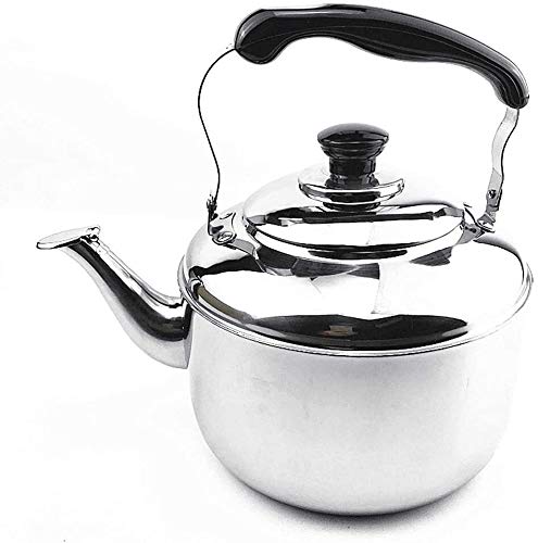 Théière universelle durable et facile à nettoyer SHISHI