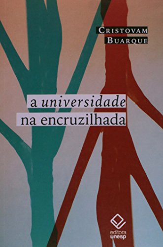 A universidade na encruzilhada: