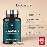 Apyforme - Lactobacillus Gasseri Bakterienstämme - Bis zu 50 Milliarden KBE/Tag - 60 Kapseln - 100% Französisch