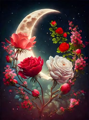 Affiche sur toile sans cadre croissant de lune roses SERENDIPITP
