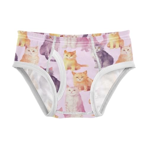 Boys' Boxer Briefs(tags) Underwear for Boys 3T