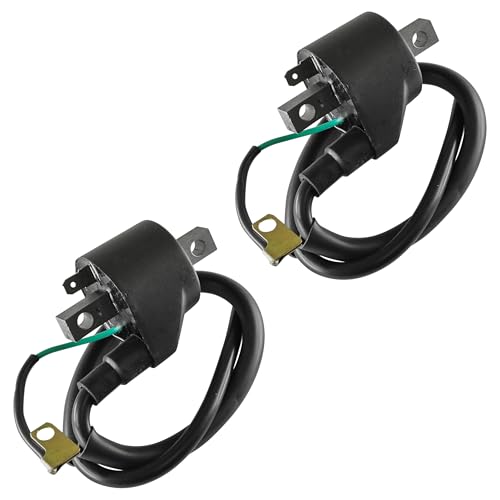 Amazon | Caltric イグニッションコイル2個 Hyosung Gt250R