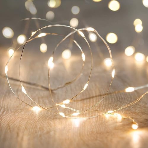 LED Fairy String Christmas Diwali Lights 10M/30ft Waterproof Warm White Firefly Lights for Home Tree Wedding Party Events Garden Spring Decoration