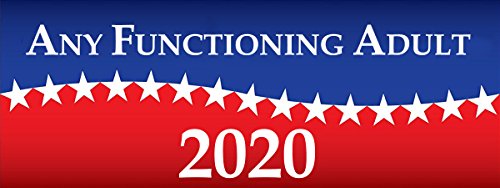 Any Functioning Adult 2020 - Car and Truck Magnet 8