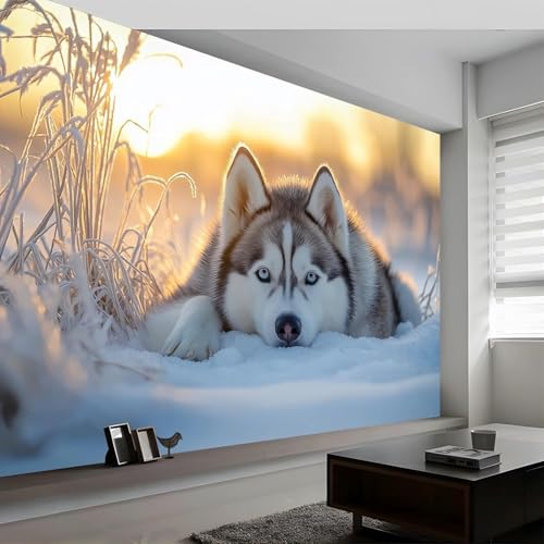 Fresque Murale Husky 3D : Métamorphosez votre Chambre à Coucher