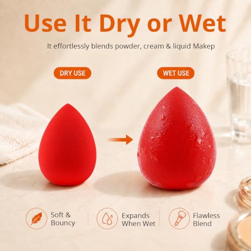 BEAKEY Makeup Sponge Set, 5 Pack Foundation Beauty Sponges & Soft Blenders | Micro Porous Low Absorption, for Liquid Cream & Powder Application, Latex Free Vegan & Cruelty-Free, Reusable & Durable