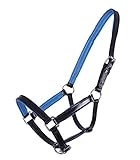 An Kopf- und Backenstücken sowie dem Nasenriemen farbig unterlegt