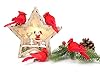 KLEWEE 12 Pcs Cardinal Birds for Crafts, Mini Cardinal Clip On Christmas Tree Ornaments Artificial Red Birds Decorations for Wreaths Centerpieces DIY Crafts, Red Velvet & Feathers #2