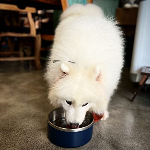 Image of Dog Bowl for Food and Water, 40 Oz Stainless Steel Pet Feeding Bowl, Durable Non-Skid Double Wall Insulated Heavy Duty with Rubber Bottom for Medium Large Sized Dogs Cats (40 Ounces /5 Cup, Blue)