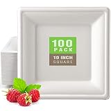 Gezond 100 Pack Compostable Square Paper Plates 10 Inch Disposable Paper Plates Large Square Dinner